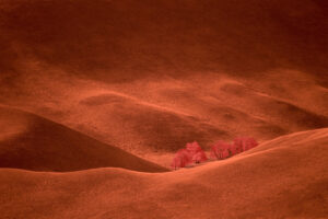 IRreal world Velvet hills